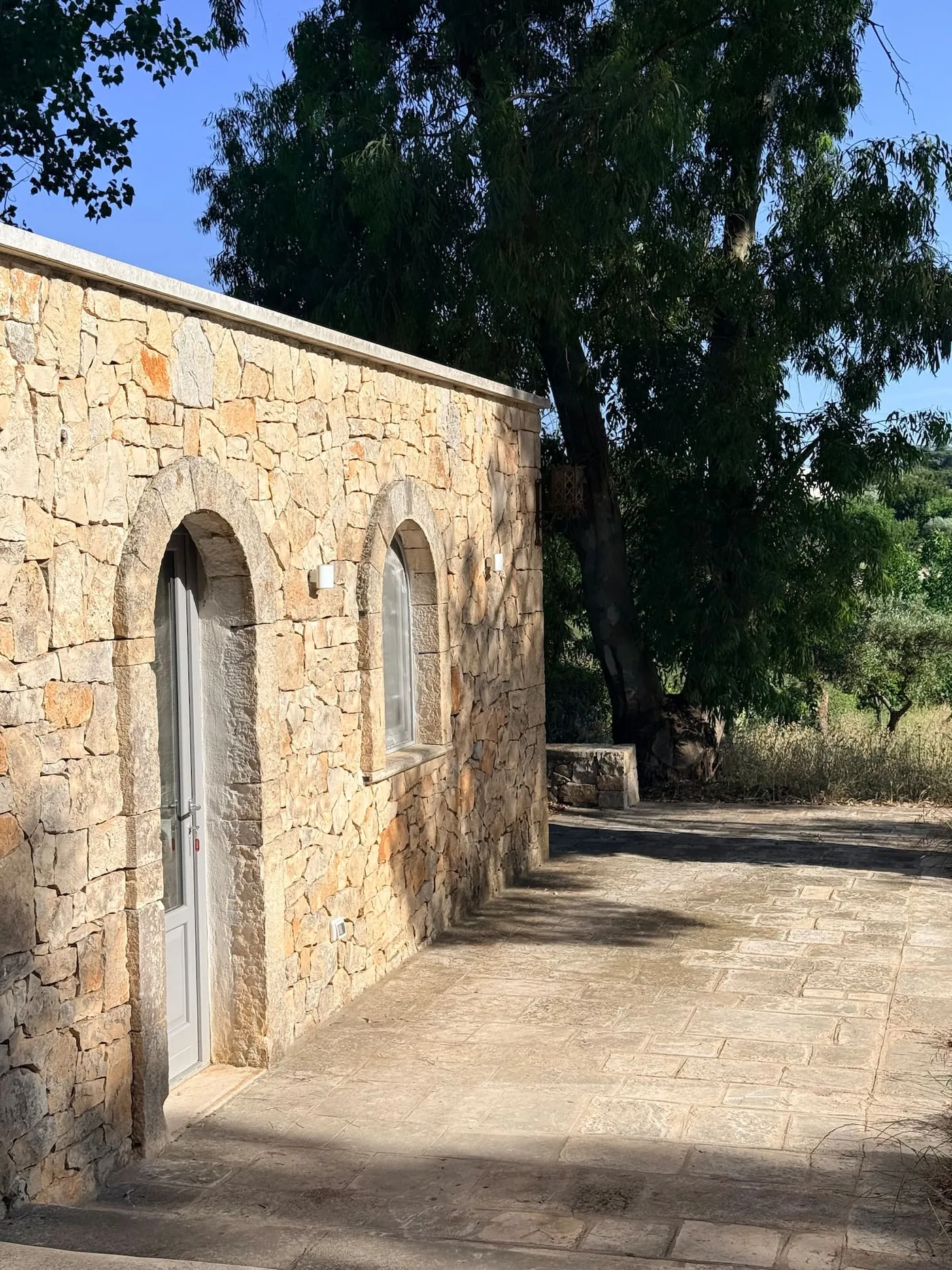 Dry-stone trullo among the olive trees