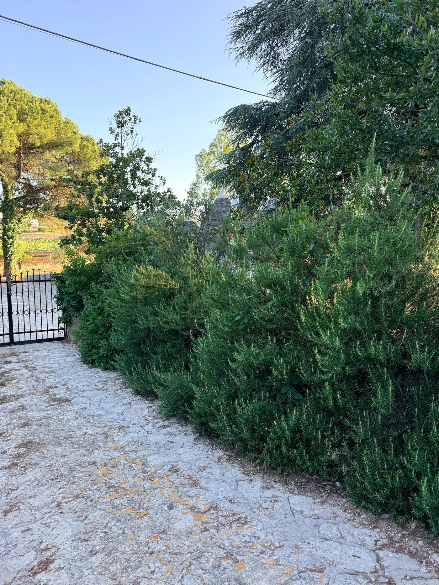 Private courtyard among the trulli